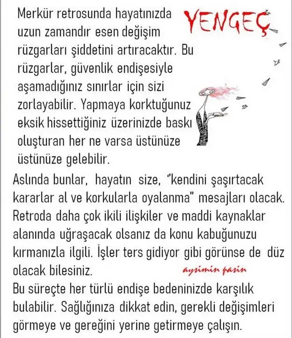 m11 (4).webp