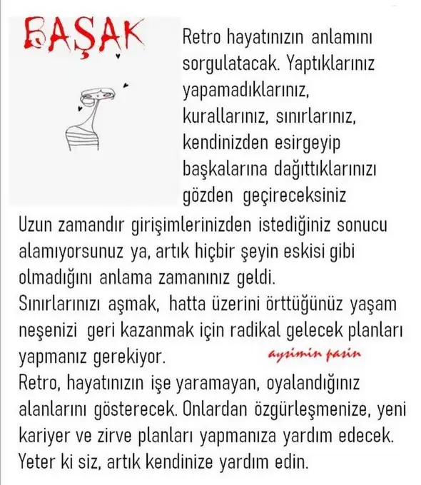 m11 (6).webp