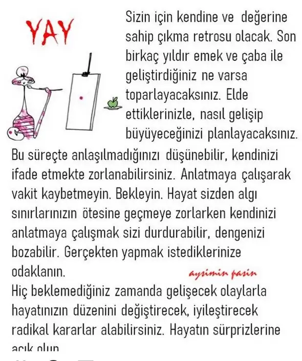 m11 (9).webp