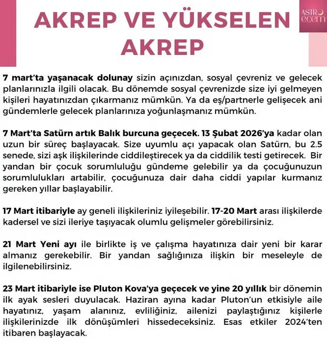 m12 (10).webp
