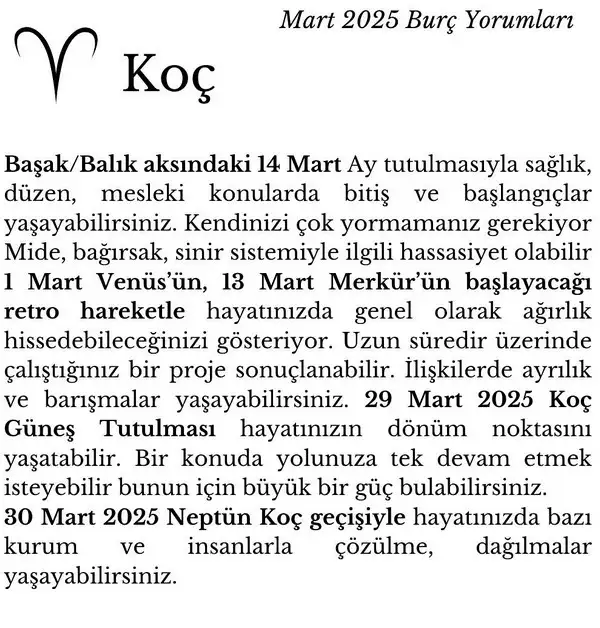 m13 (2).webp
