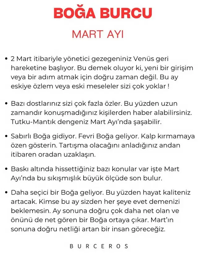 m13 (2).webp