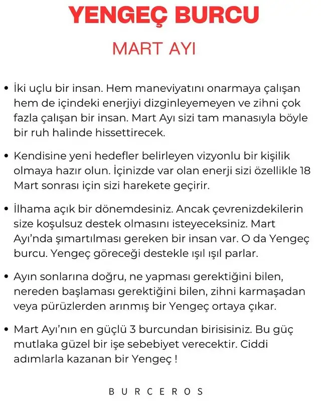m13 (4).webp