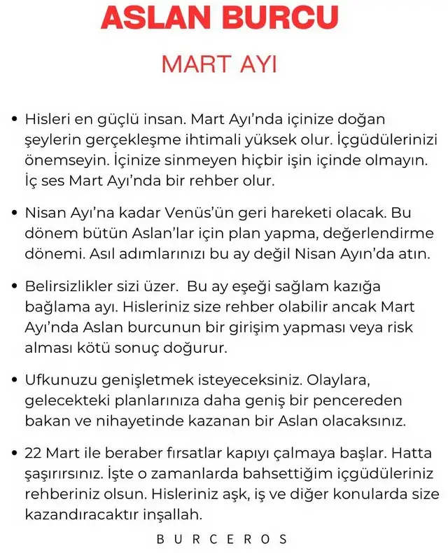 m13 (5).webp