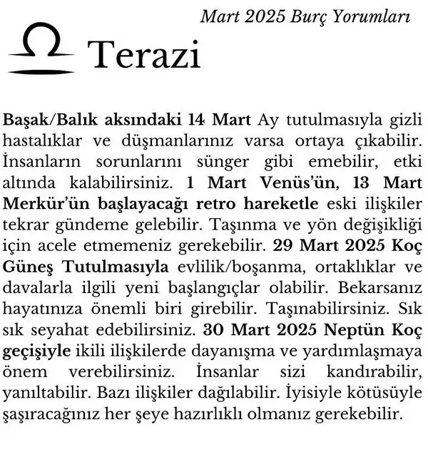 m13 (8).webp