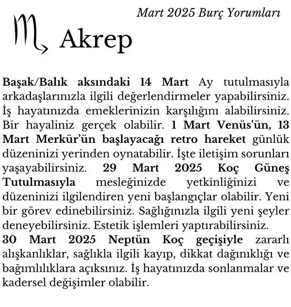 m13 (9).webp