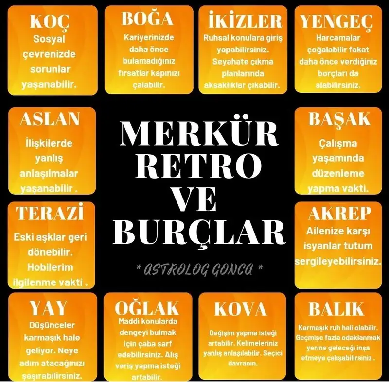m13.webp