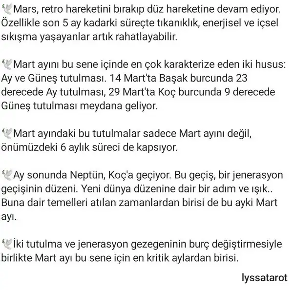 m3 (3).webp