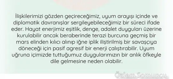 m4 (2).webp