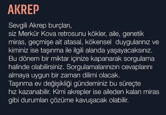 m5 (9).webp
