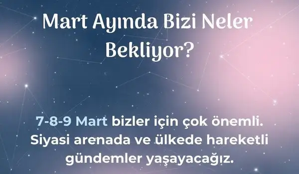 m6 (1).webp