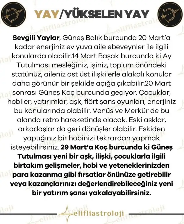 m6 (10).webp