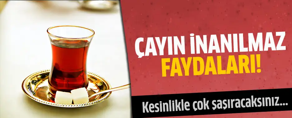 m_cayin-faydalari.webp