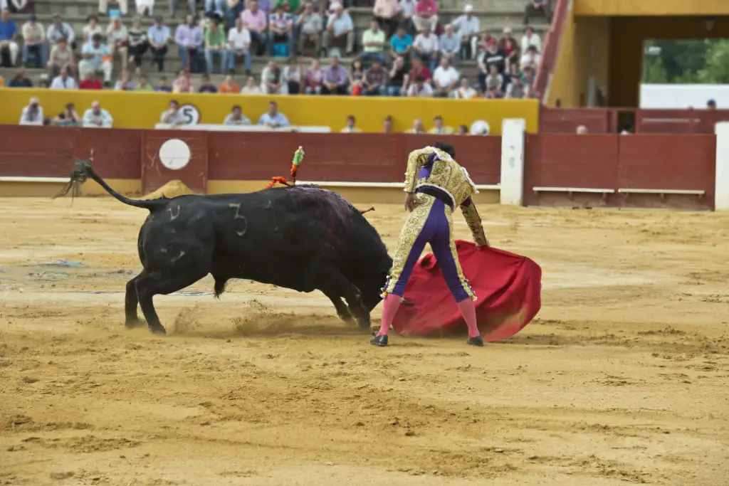 madrid.webp