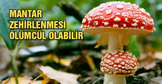 mantar_zehirlenmesi_olumcul_olabilir_h1973.webp