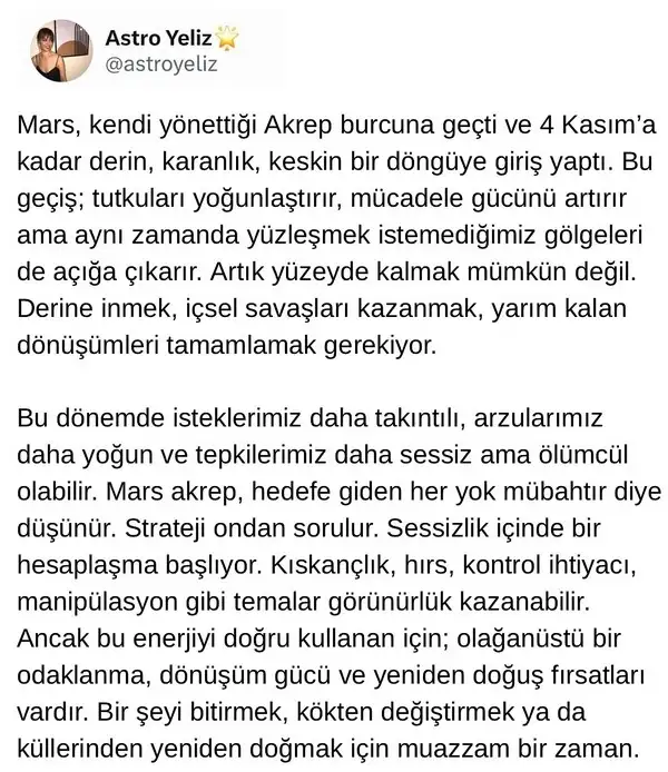 marakr (1).webp
