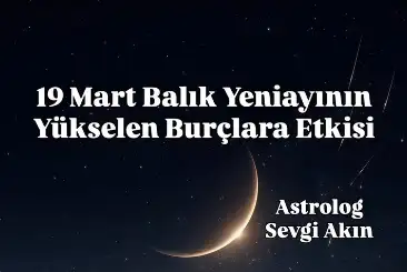 marm26mfb.webp