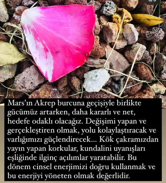 mars akr.webp