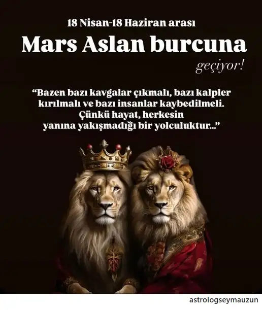 mars aslanda (2).webp