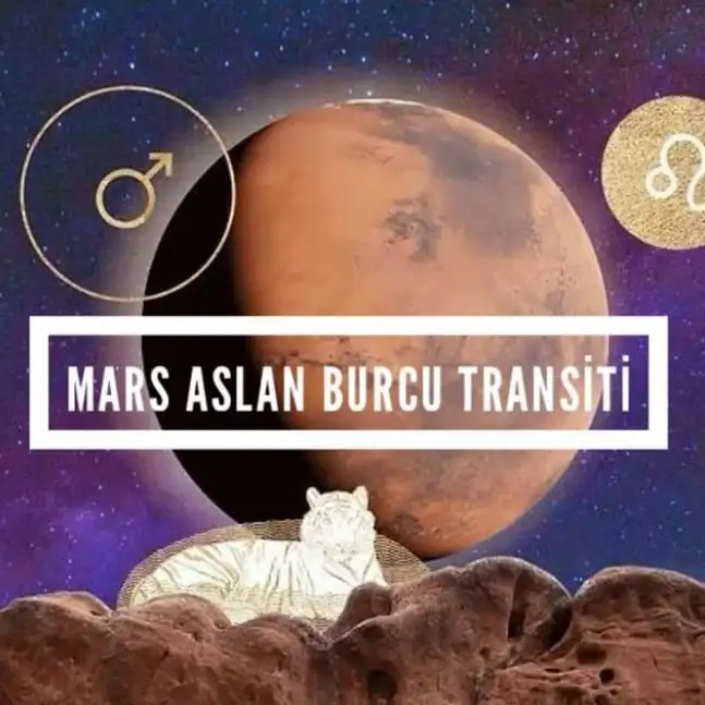 mars aslannn2.webp