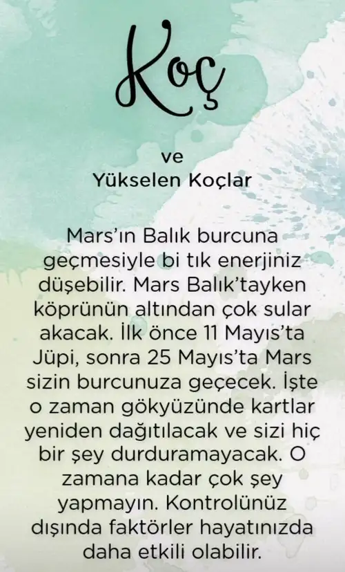 mars balık (2).webp