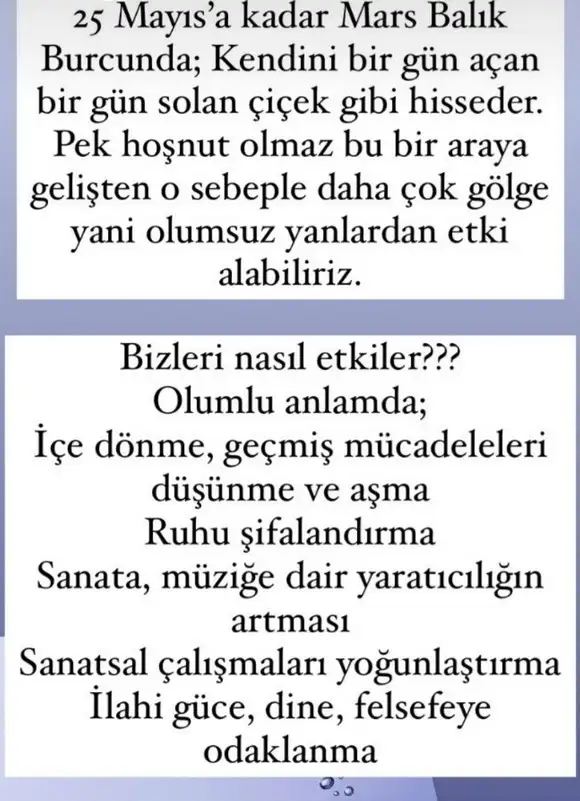 mars balık (2).webp