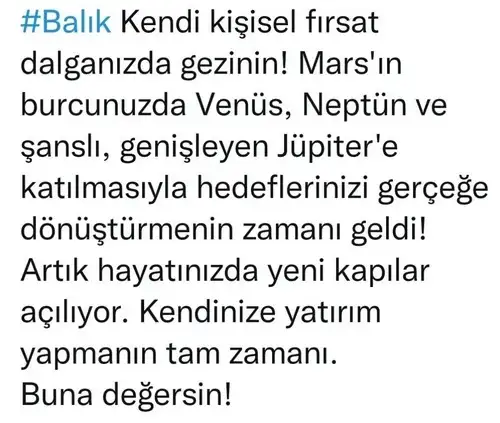 mars balık2 (12).webp