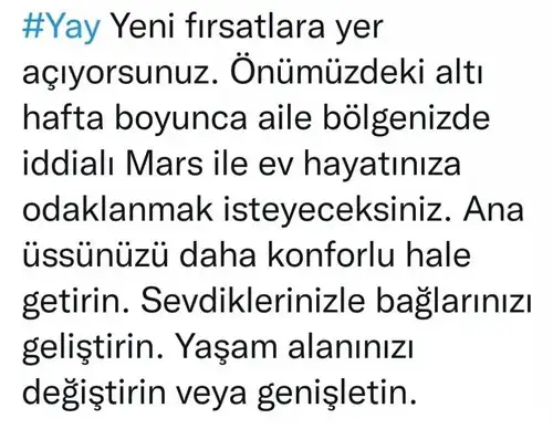 mars balık2 (9).webp