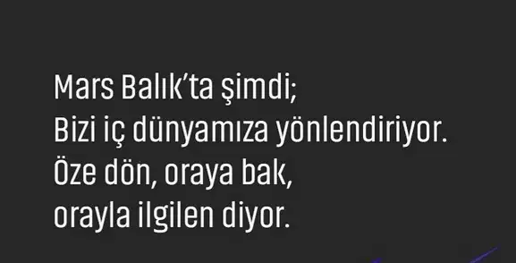 mars balık6 (3).webp