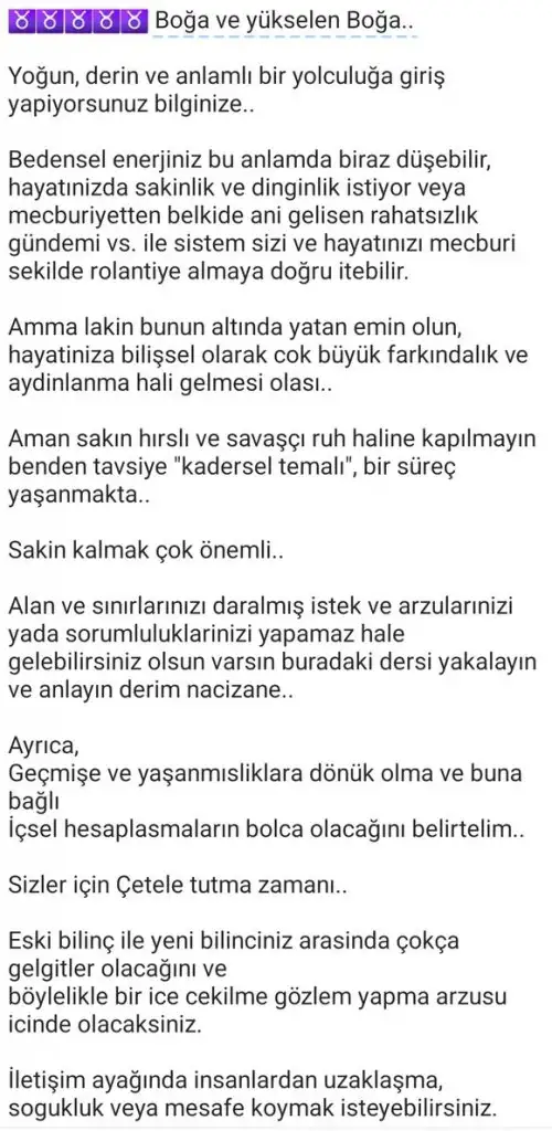 mars birgul tugyan (3).webp