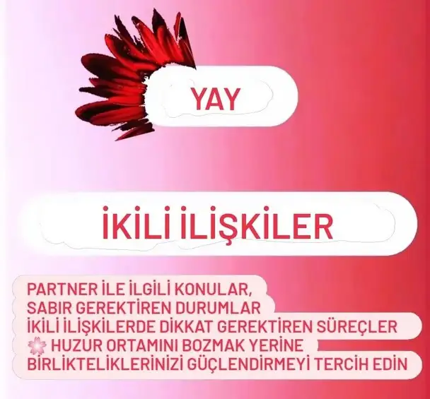 mars ikizler14 (10).webp