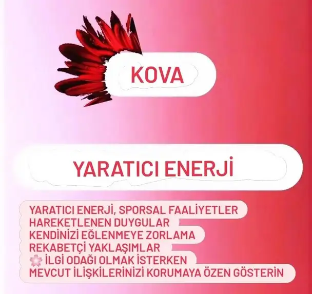 mars ikizler14 (12).webp