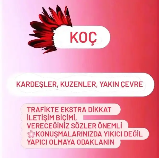 mars ikizler14 (2).webp