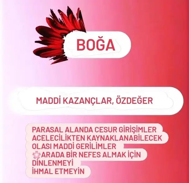 mars ikizler14 (3).webp