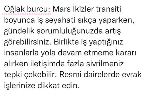 mars ikizler21 (11).webp