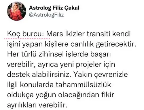 mars ikizler21 (2).webp