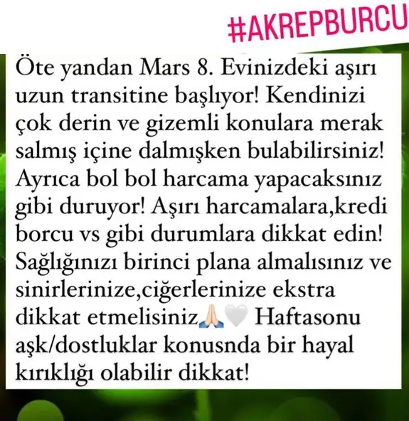 mars ikizler3 (8).webp