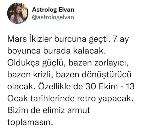 mars ikizler4 (1).webp