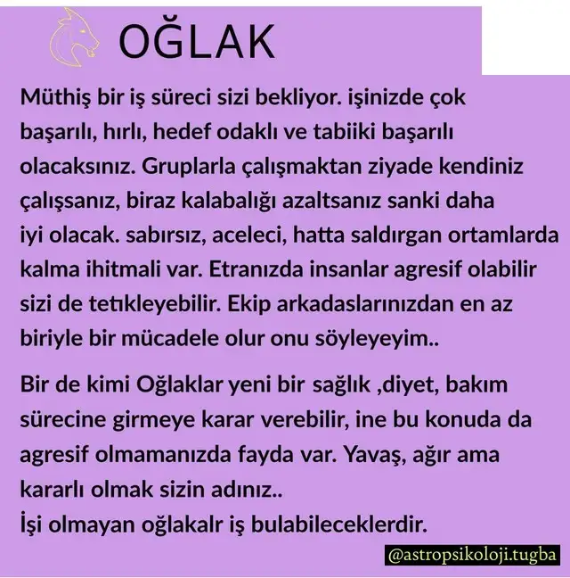 mars ikizler9 (11).webp