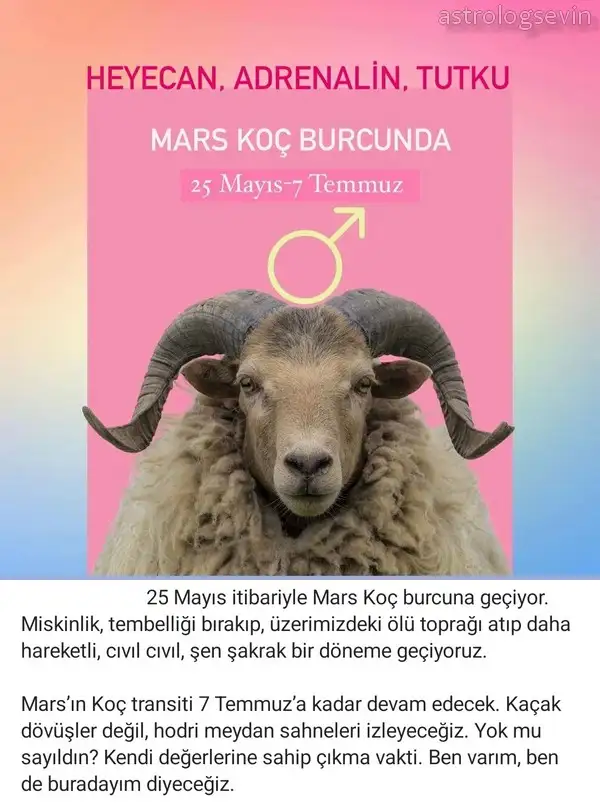 mars koc (1).webp