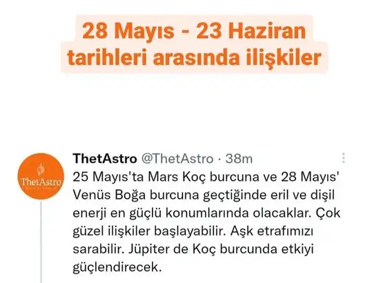mars koç.webp