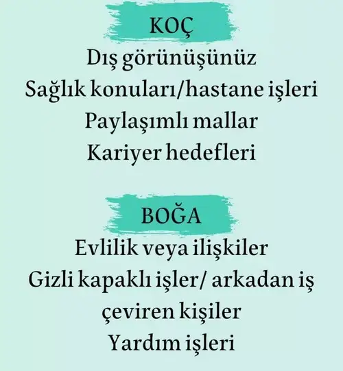 mars koç1 (2).webp