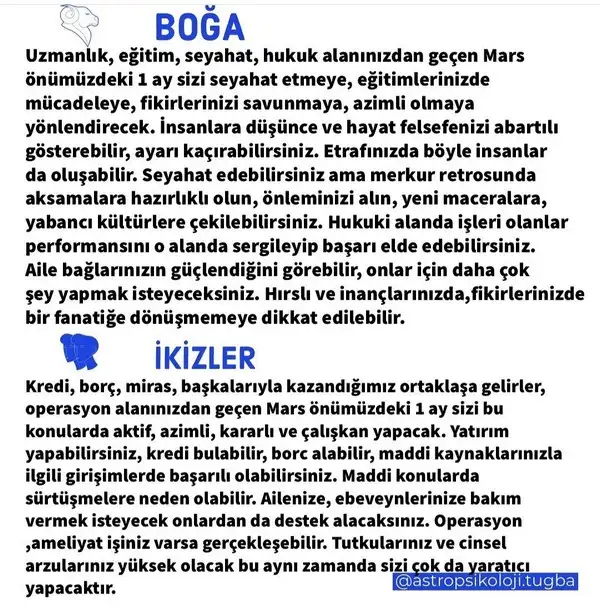 mars oğlak 10 (4).webp