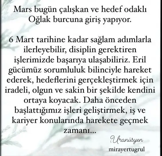 mars oğlak 11 (1).webp