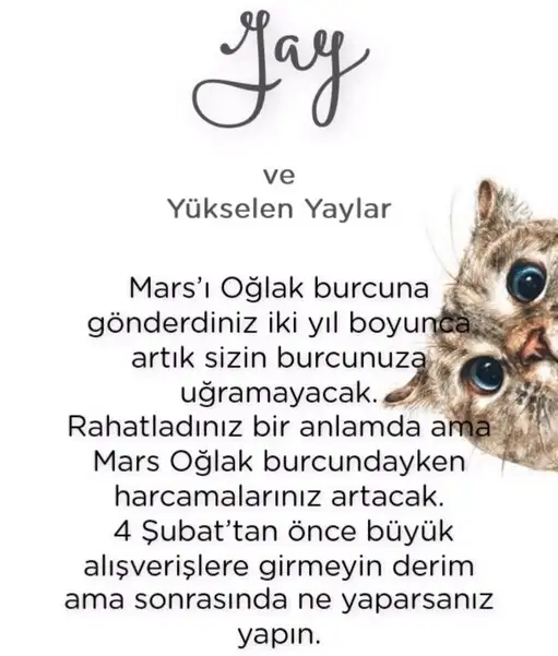 mars oğlak2 (11).webp