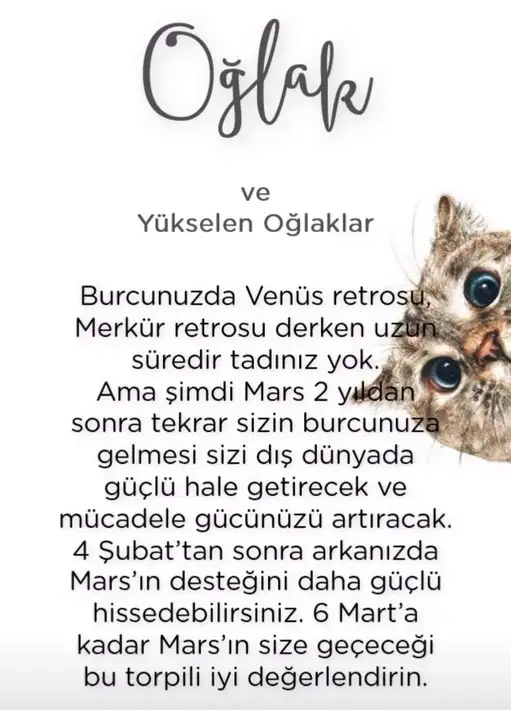 mars oğlak2 (12).webp