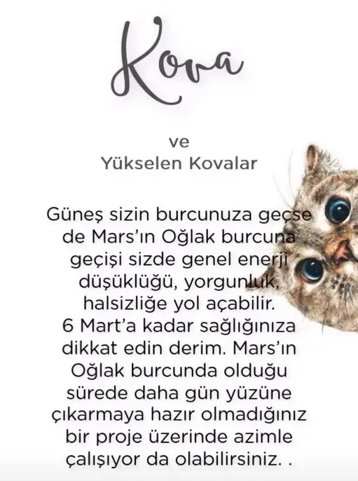 mars oğlak2 (13).webp