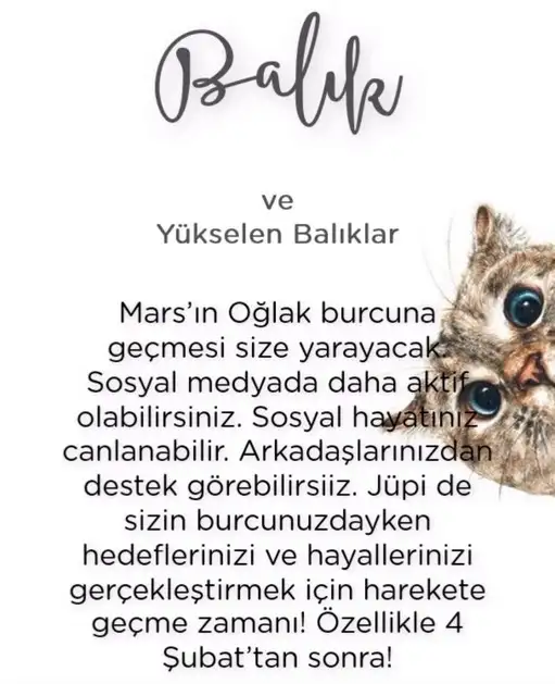 mars oğlak2 (14).webp