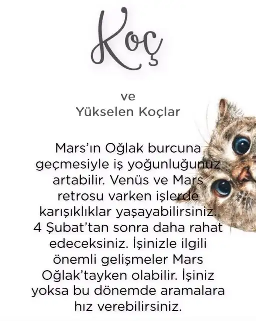 mars oğlak2 (3).webp