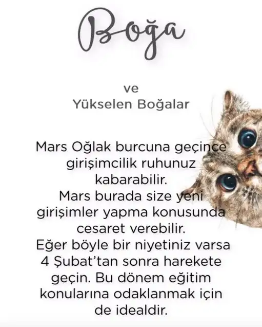 mars oğlak2 (4).webp